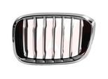 VAN WEZEL Kühlergitter 0645511 links für BMW