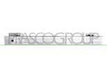 PRASCO Träger, Stoßfänger pg4281672 hinten für Peugeot