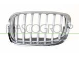 PRASCO Kühlergitter bm8402034 links für BMW