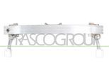 PRASCO Träger, Stoßfänger pg5001642 vorne für Peugeot