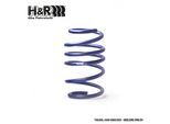 H&R 29462csha1