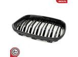 ESEN SKV Kühlergitter 66skv318 für BMW