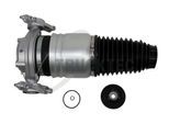 TRUCKTEC AUTOMOTIVE Luftfeder, Fahrwerk 0730190 Hinterachse links für Audi