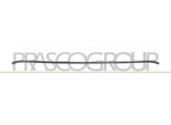 PRASCO Zier-/Schutzleiste, Kühlergitter ft9131245 für Fiat