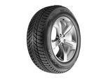 NEXEN Winterreifen [Nexen] 185/60R15 88T - Winguard Ice Plus 16139nxk 185/60 R15