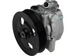 JP GROUP Hydraulikpumpe, Lenkung 1545102900 für Ford