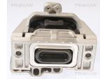 TRISCAN Lagerung, Motor 850529115 für VW