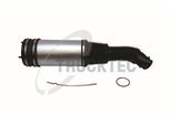 TRUCKTEC AUTOMOTIVE Luftfeder, Fahrwerk 0230288 Hinterachse beidseitig für Mercedes