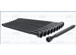 AJUSA Zylinderkopfschraubensatz 81036300 für Audi