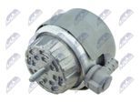 NTY Lagerung, Motor zpsau014 für VAG