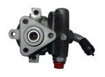 SPIDAN Hydraulikpumpe, Lenkung 54379 für Fiat