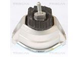 TRISCAN Lagerung, Motor 850511115 für BMW