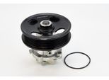 CONTINENTAL CTAM Wasserpumpe wps3002 für Opel Ford CHEVROLET Fiat ALFA ROMEO LANCIA Vaughall Citroën Suzuki