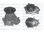 DOLZ Wasserpumpe s247 für SSANGYONG