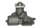 SALERI SIL Wasserpumpe pa495 für Ford