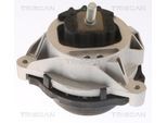 TRISCAN Lagerung, Motor 850511109 für BMW