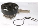 TRISCAN Wasserpumpe 860040019 für HONDA