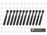 BGA Zylinderkopfschraubensatz bk5915 für BMW