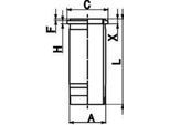 KOLBENSCHMIDT 89861110 146mm für DAF