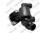 CALORSTAT BY VERNET Thermostat, Kühlmittel th722987j für VW