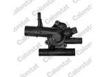 CALORSTAT BY VERNET Thermostat, Kühlmittel th645483j für Opel Vaughall NISSAN RENAULT