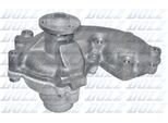 DOLZ Wasserpumpe s234 für Fiat