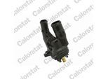 CALORSTAT BY VERNET Thermostat, Kühlmittel te708998j für Ford