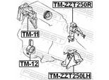 FEBEST Lagerung, Motor tmzzt250r hinten für TOYOTA