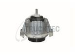 TRUCKTEC AUTOMOTIVE Lagerung, Motor 0822026 beidseitig für BMW