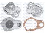 DOLZ Wasserpumpe r131 für RENAULT