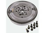 SACHS Schwungrad 2295701008 für BMW (BRILLIANCE)