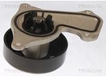 TRISCAN Wasserpumpe 860025095 für RENAULT