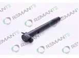 REMANTE Einspritzdüse 002003000176r