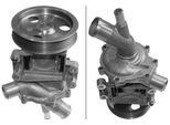 INA Wasserpumpe 538015810 für MINI Fiat
