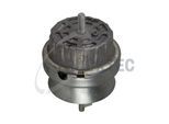 TRUCKTEC AUTOMOTIVE Lagerung, Motor 0720064 links für Audi