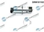 DR.MOTOR AUTOMOTIVE AGR-Ventil drm181102 für NISSAN RENAULT