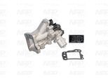 NAP AGR-Ventil cav10125 für Ford MITSUBISHI LAND ROVER Peugeot Citroën/Peugeot JAGUAR