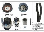 INA Wasserpumpe + Zahnriemensatz 530036132 für VW