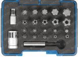 SWSTAHL Set, Schraubendreher-Einsatz (Bits) 04191l