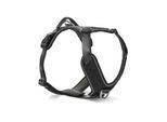 Wolters Active Pro Comfort Hundegeschirr anthrazit/ schwarz XXL