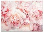 Glasbild ARTLAND "Rosa Farbene Pfingstrosen Aquarell", rosa (farbe bild(er): pink), B:60cm H:45cm, Bilder, in verschiedenen Größen