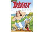 Leinwandbild LUCKYLINDE "Asterix, Obelix und Idefix II", bunt (farbe bild(er): bunt), B:40cm H:60cm T:3cm, Holz, Leinwand, Bilder, Leinwandbild, Canvasbild Wanddeko Bild zum Film "Kampf der Häuptlinge"