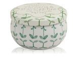 Paddywax Tulip Verbena & Lemongrass geurkaars met dop 56 g