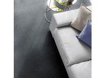 Teppichboden ANDIAMO "Kira, Velours, Gesamthöhe 8 mm, Luxusklasse LC1", grau (anthrazit), B:400cm L:400cm, Kunstfaser, Teppiche, Uni Farben, Breite 400 cm, strapazierfähig, pflegeleicht, Wohnzimmer