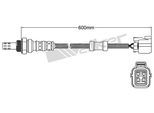 VEGAZ Lambdasonde uls654