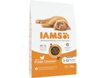 IAMS Advanced Nutrition Trockenfutter Kitten, Huhn 2x10 kg