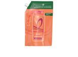 Elvive Dream Long Aufbaushampoo Nachfüllpackung Ökopack 500 ml