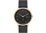 Skagen Kuppel Schwarz Herren Armbanduhr SKW6896