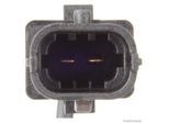 HERTH+BUSS ELPARTS Sensor, Abgastemperatur 70682413 Rußpartikelfilter für Vaughall GM