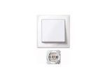 Merten Jumbo Schalter pws/gl 10AX AC 250V MEG3341-1419)